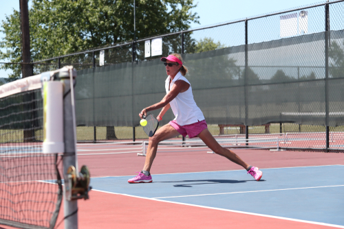 Non-Volley Zone or Pickleball Kitchen Rule
